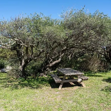 Esclusiva Punta Volpe, Con Accesso Sul Mare Porto Rotondo